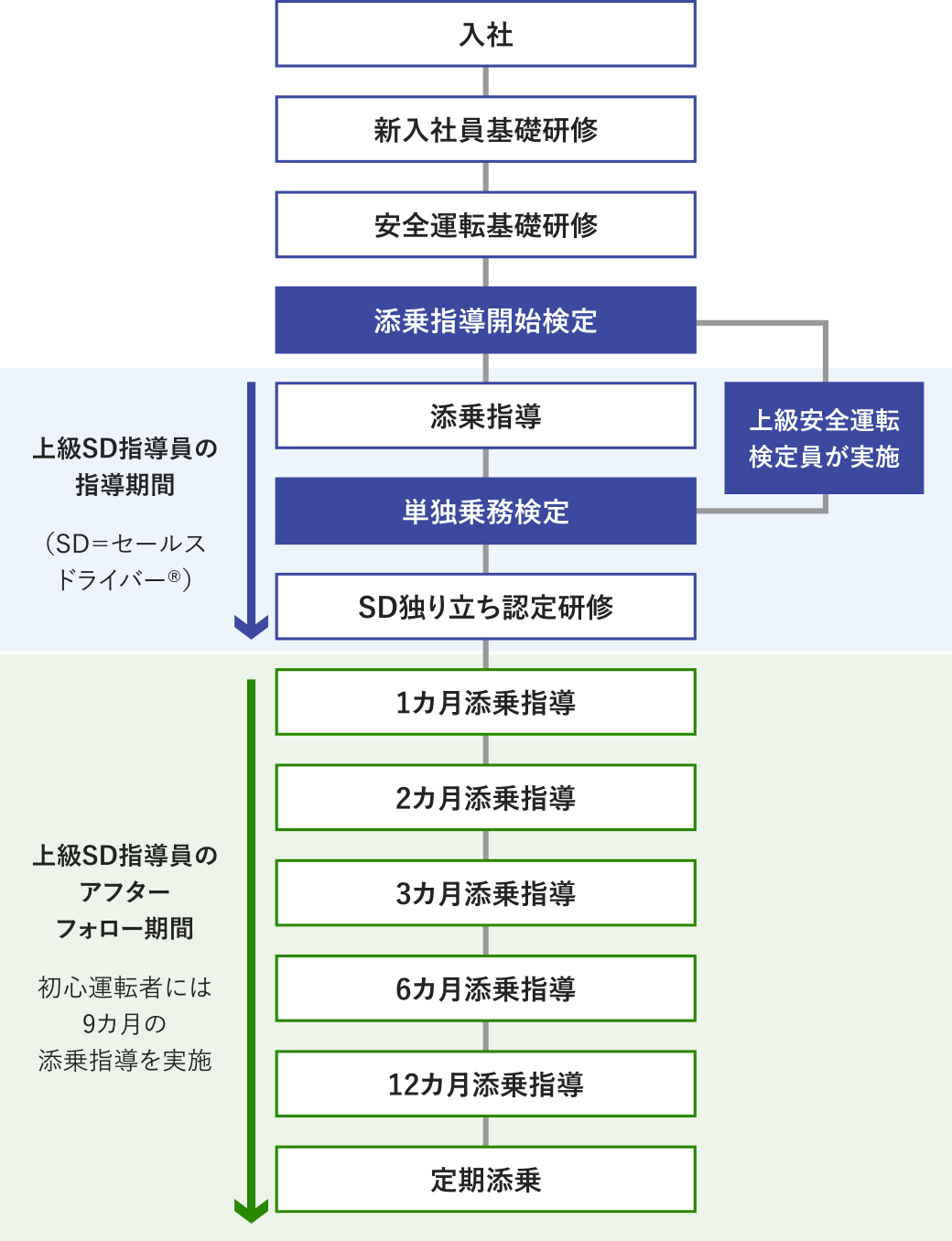 新人ドライバーの育成フロー図です。新入社員が「入社」し、「新入社員基礎研修」の後「安全運転基礎研修」を受け、「添乗指導開始検定(上級安全運転検定員が実施)」を行います。続けて「上級セールスドライバー指導員の指導期間」として、「添乗指導」「単独乗務検定(上級安全運転検定員が実施)」を受け、「セールスドライバー独り立ち認定研修」を行います。さらに「上級セールスドライバー指導員のアフターフォロー期間」として、「1カ月添乗指導」「2カ月添乗指導」「3カ月添乗指導」「6カ月添乗指導」「12カ月添乗指導」を経た後、「定期添乗」が行われます。初心運転者には9カ月の添乗指導を実施します。